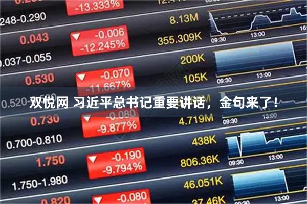 双悦网 习近平总书记重要讲话，金句来了！