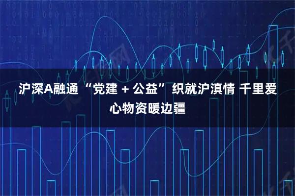 沪深A融通 “党建 + 公益” 织就沪滇情 千里爱心物资暖边疆