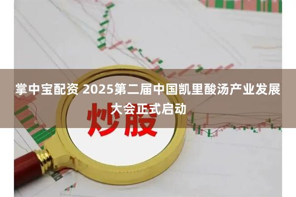 掌中宝配资 2025第二届中国凯里酸汤产业发展大会正式启动